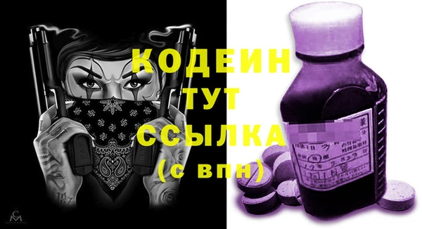 прущие грибы Богородицк