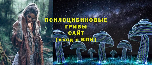 прущие грибы Богородицк