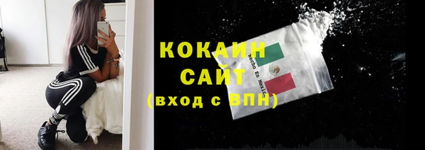 прущие грибы Богородицк