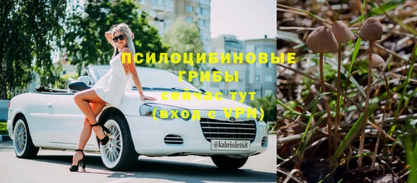 прущие грибы Богородицк