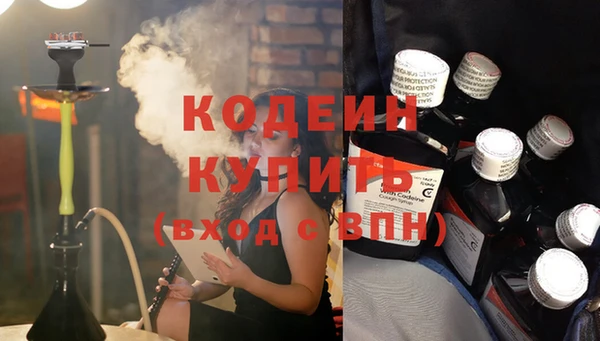 прущие грибы Богородицк