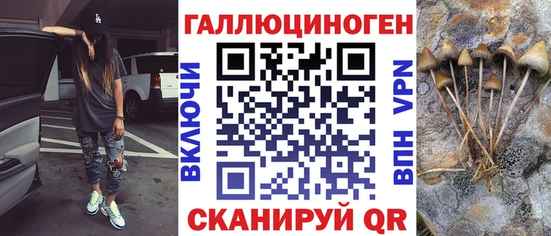 гидра   Кодинск  Галлюциногенные грибы Cubensis 